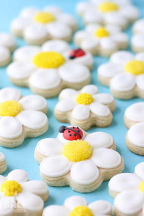 Daisy Cookie Bouquet