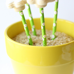 Daisy Cookie Bouquet