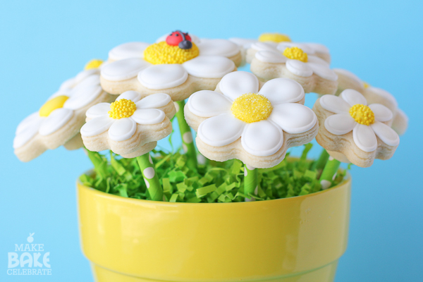 Daisy Cookie Bouquet