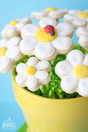 Daisy Cookie Bouquet