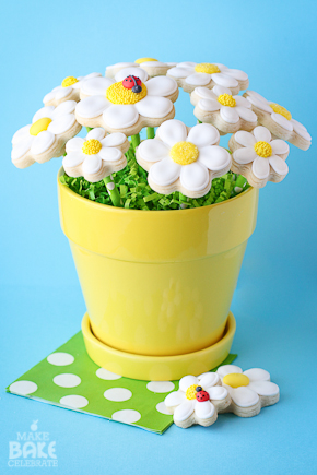 Daisy Cookie Bouquet