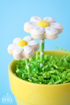 Daisy Cookie Bouquet