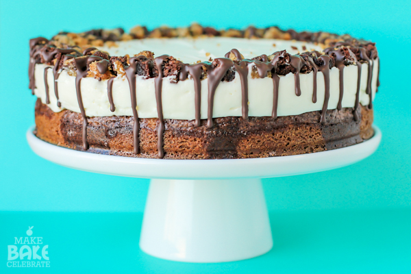 Brookie Cheesecake