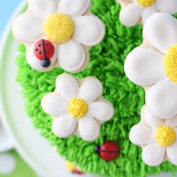 Popping Up Daisies Cake